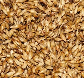 Barley Feed