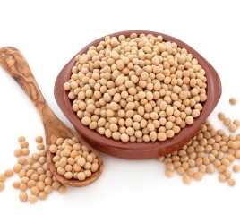 Soya Beans