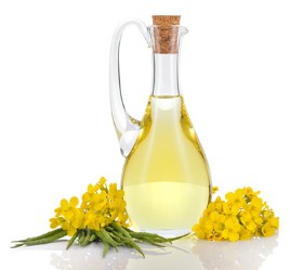 Canola Oil