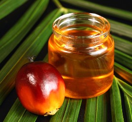Palm Oil
