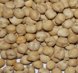 White Chickpeas